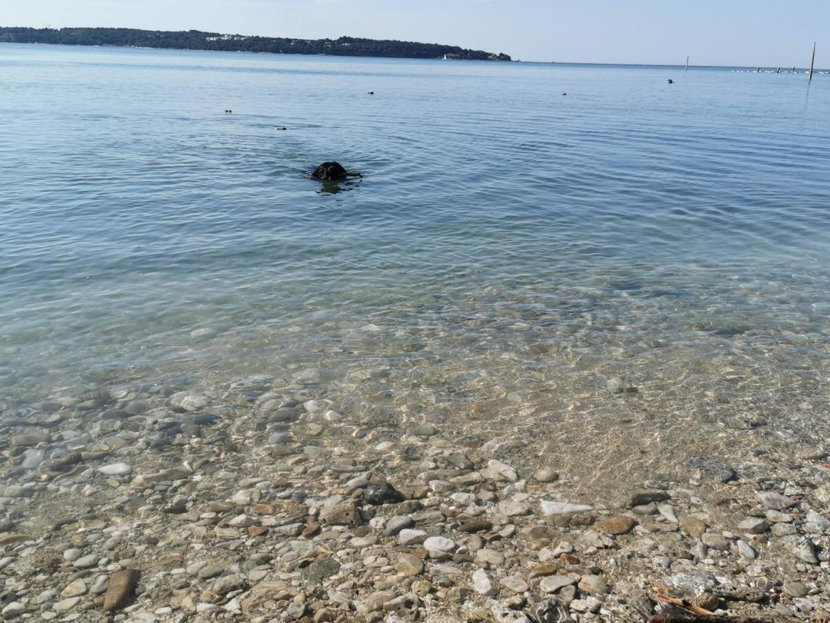Mirta Deluxe Superior 5 Star Apartment, Your Piece Of Heaven By The Sea & Park, With Sea & Park View Novigrad Istria Kültér fotó