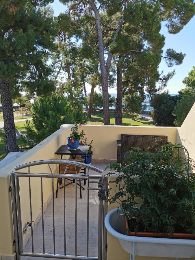 Mirta Deluxe Superior 5 Star Apartment, Your Piece Of Heaven By The Sea & Park, With Sea & Park View Novigrad Istria Kültér fotó